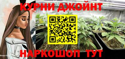 сатива Аша