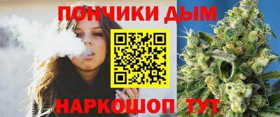 сатива Аша