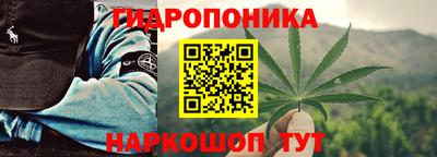 гидра Ачхой-Мартан